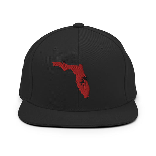 Check out this Cool, Stylish, State of Florida, 04 Snapback Hat