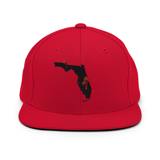 Check out this Cool, Stylish, State of Florida, 01 Snapback Hat